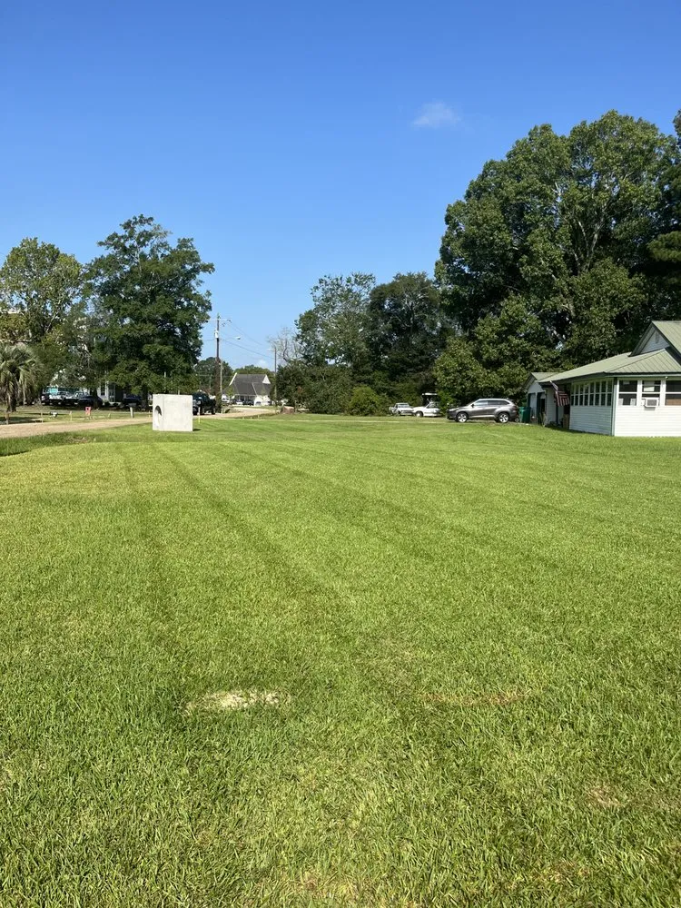 Professional yard cleanup service for beautiful yards in Walker, LA by Champion Grass Maintenance