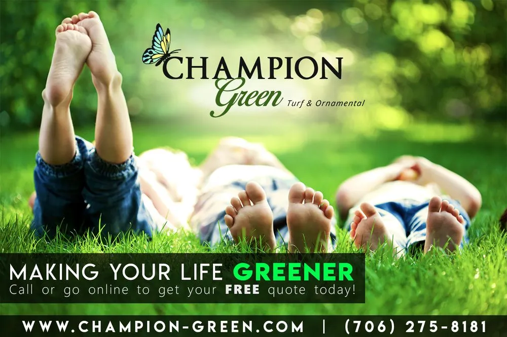 Reliable landscape design for year-round maintenance in Chattanooga, TN by Champion Green Turf & Ornamental Services