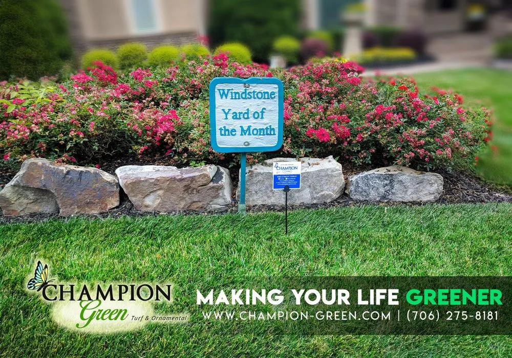 Expert yard cleanup service experts serving Chattanooga, TN - Champion Green Turf & Ornamental Services
