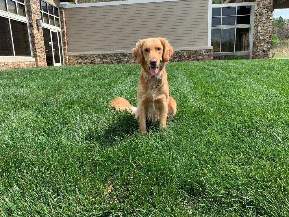 Local landscape installation with custom design across Chattanooga, TN - Champion Green Turf & Ornamental Services