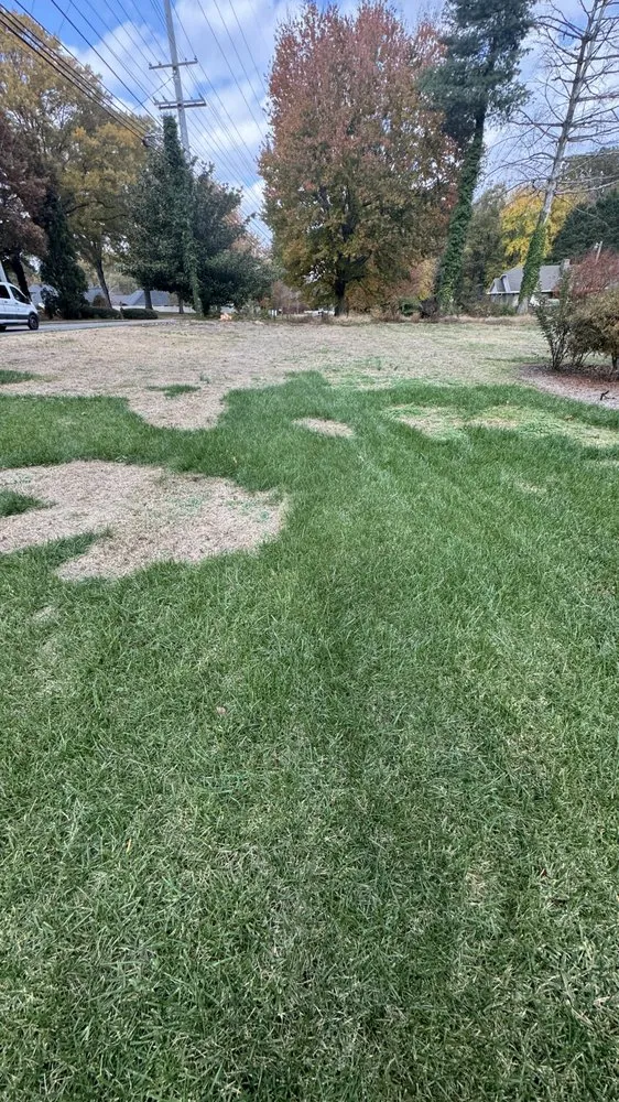 Expert residential landscaping in Dalton, GA - Champion Green Turf & Ornamental Services