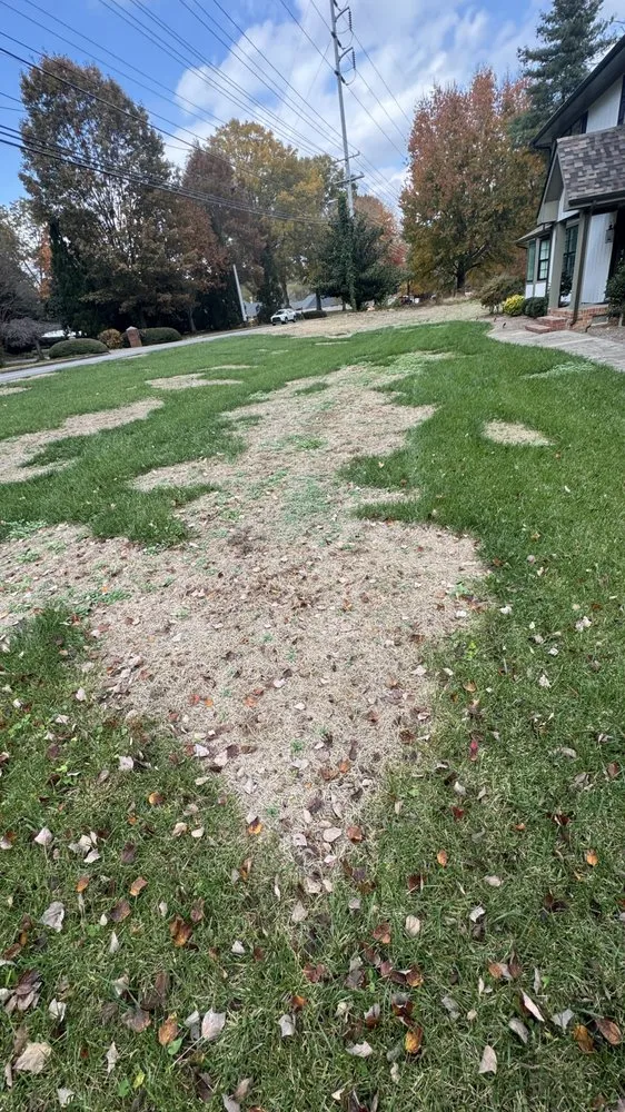 Reliable landscape installation for beautiful yards in Dalton, GA by Champion Green Turf & Ornamental Services