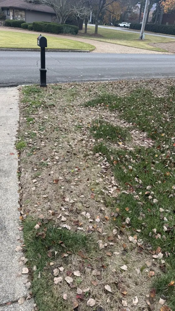 Custom residential landscaping in Dalton, GA - Champion Green Turf & Ornamental Services