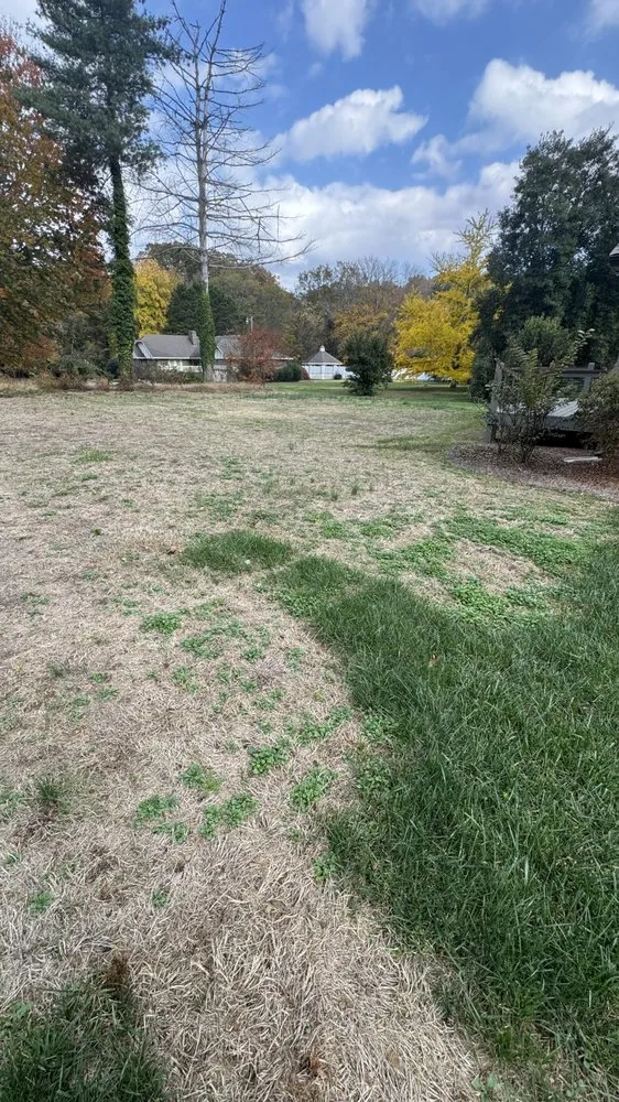 Custom yard maintenance for beautiful yards in Dalton, GA by Champion Green Turf & Ornamental Services