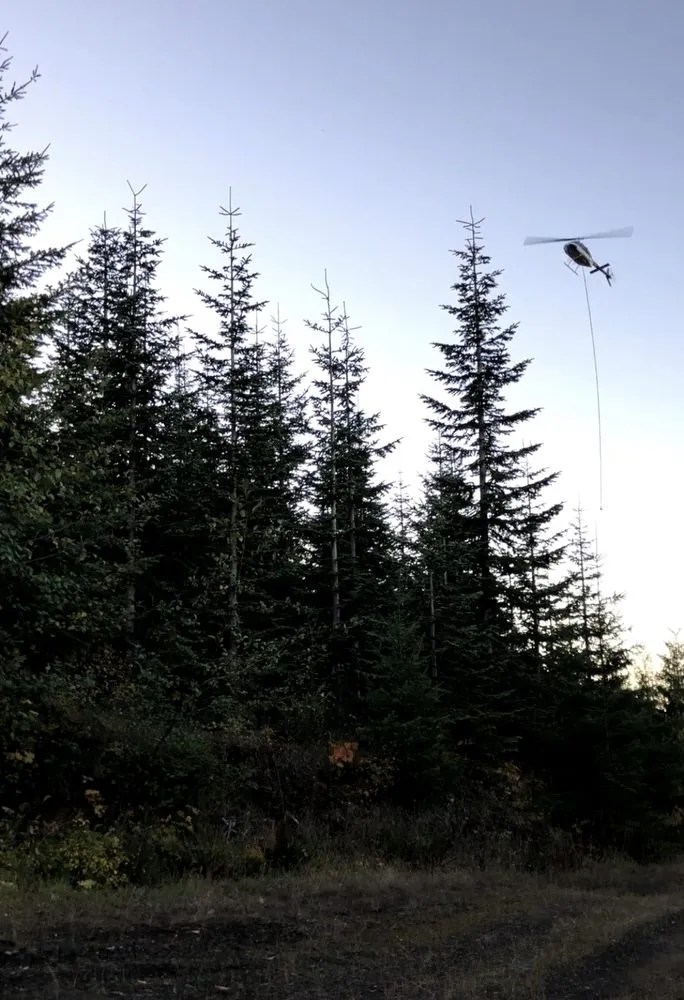 Affordable lawn mowing service experts serving Chehalis, WA - Champion Greens,Inc.