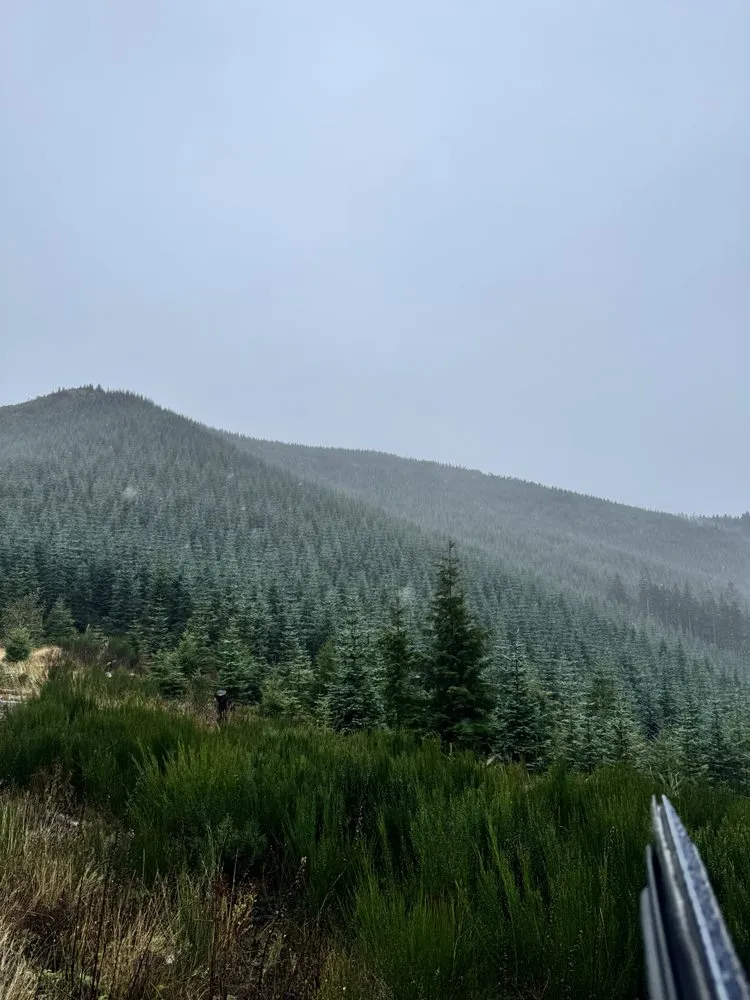 Reliable residential landscaping for residential properties in Chehalis, WA by Champion Greens,Inc.