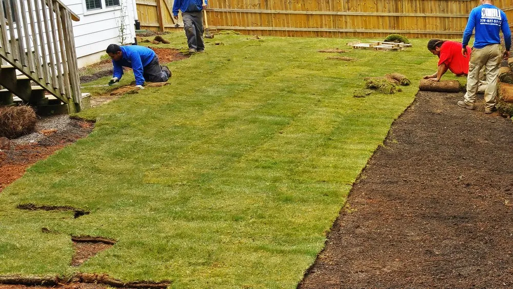 Top-rated yard cleanup service in Belton, TX by Champion Irrigation & Service's