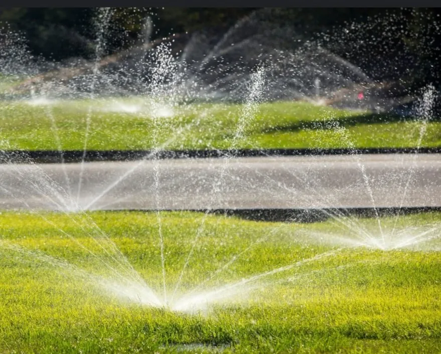 Trusted garden landscaping in Belton, TX by Champion Irrigation & Service's