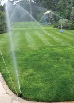 Reliable yard maintenance for beautiful yards across Belton, TX - Champion Irrigation & Service's