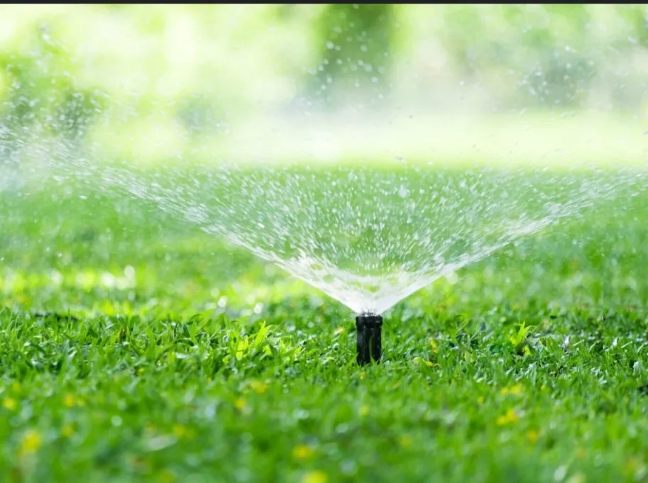 Professional yard cleanup service with custom design in Belton, TX by Champion Irrigation & Service's