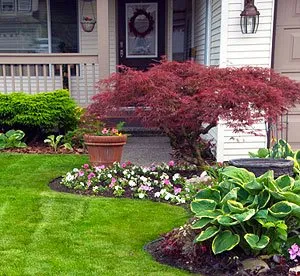 Professional outdoor landscaping in Belton, TX by Champion Irrigation & Service's