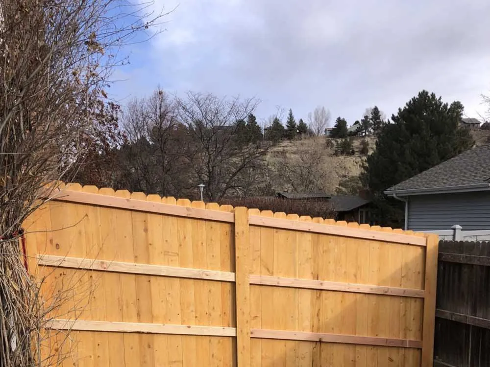 Affordable landscape installation experts serving Belton, TX - Champion Irrigation & Service's