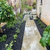 Reliable lawn care service for homes in Belton, TX by Champion Irrigation & Service's