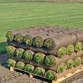 Local lawn care service in Belton, TX - Champion Irrigation & Service's