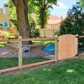 Professional lawn care service in Belton, TX - Champion Irrigation & Service's