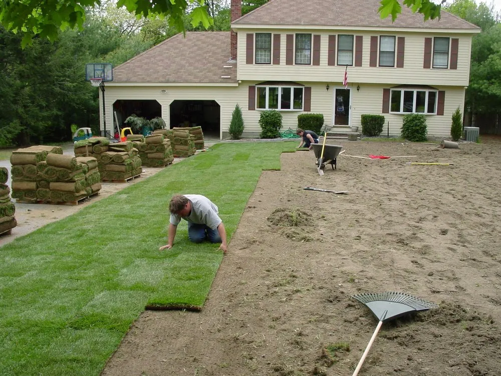 Top-rated landscaping services in Belton, TX by Champion Irrigation & Service's