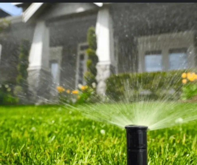 Custom landscape design experts serving Belton, TX - Champion Irrigation & Service's
