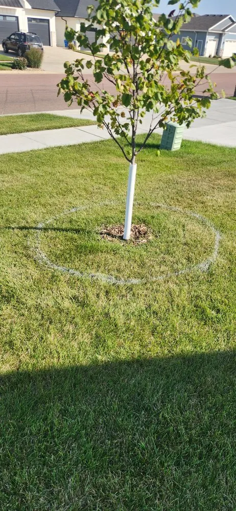 Reliable yard maintenance in Sioux Falls, SD - Champion Lawn & Snow