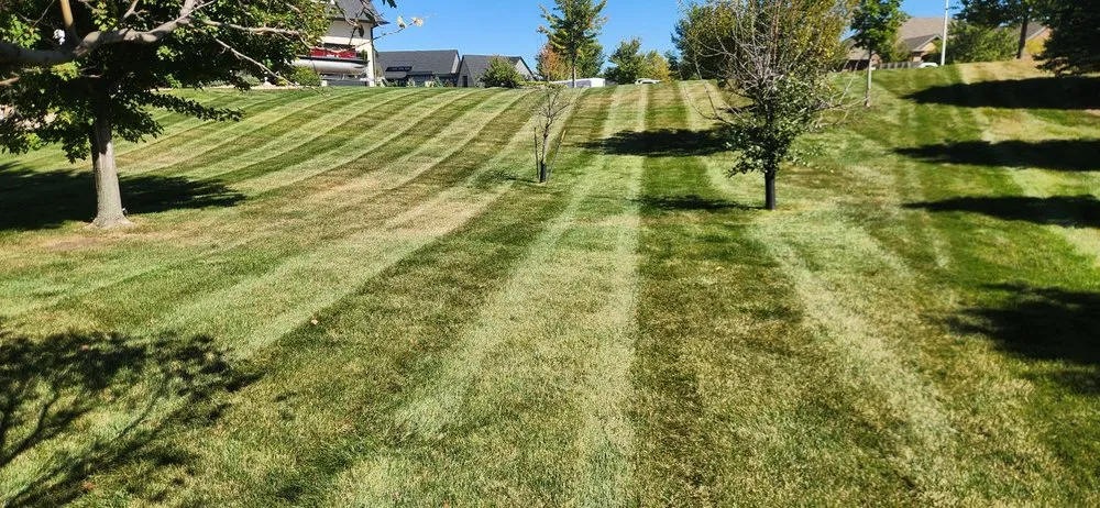 Expert landscaping services in Sioux Falls, SD - Champion Lawn & Snow