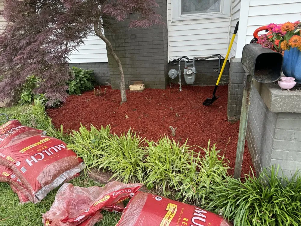 Expert yard maintenance for outdoor upgrades in Gadsden, AL by Champion Lawn Care