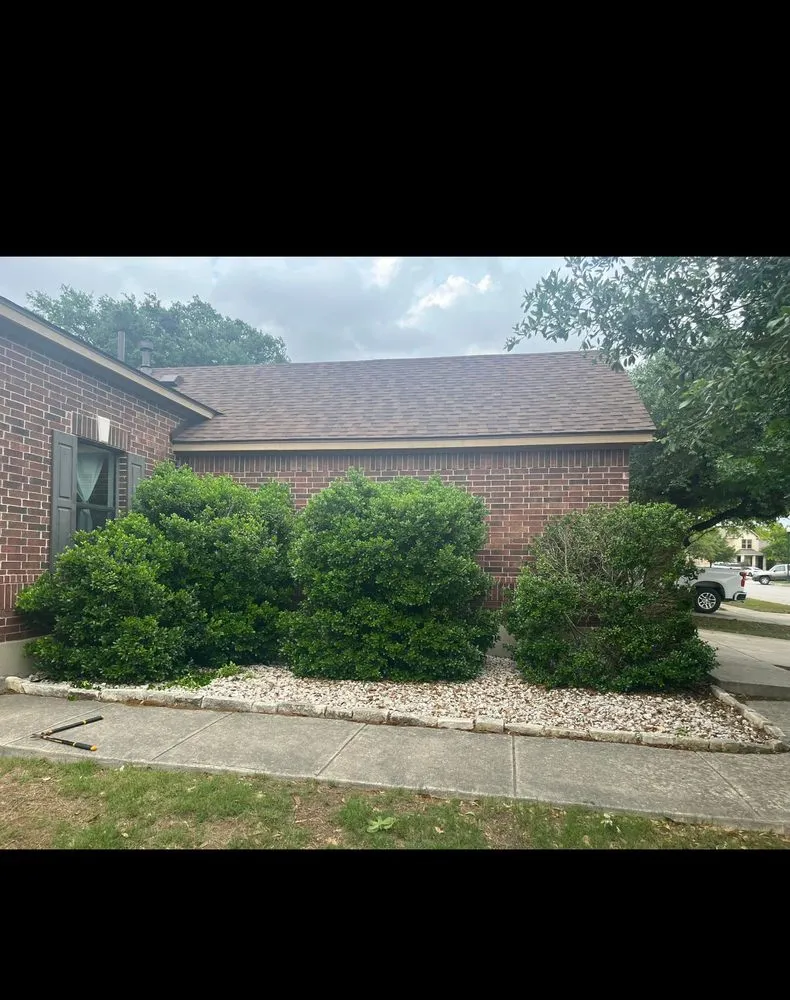 Reliable outdoor landscaping for year-round maintenance across Boerne, TX - Champion Lawns