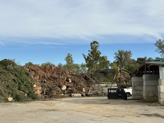 Champion Mulch & Landscape Supply Logo