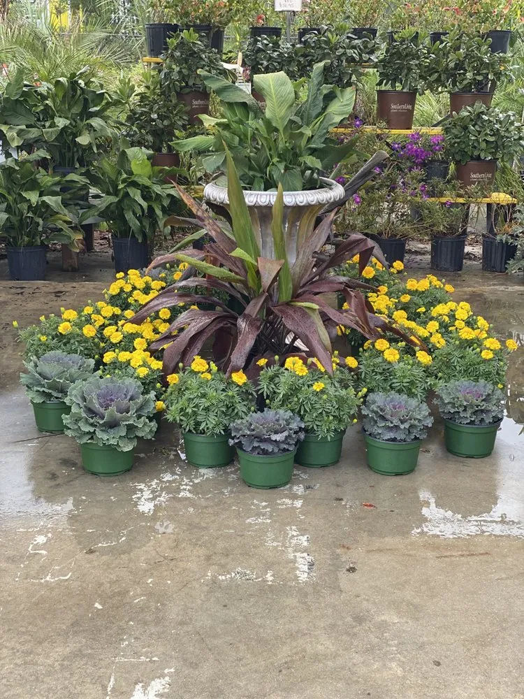 Custom outdoor landscaping for year-round maintenance in Murrells Inlet, SC by Champion Nursery & Landscaping