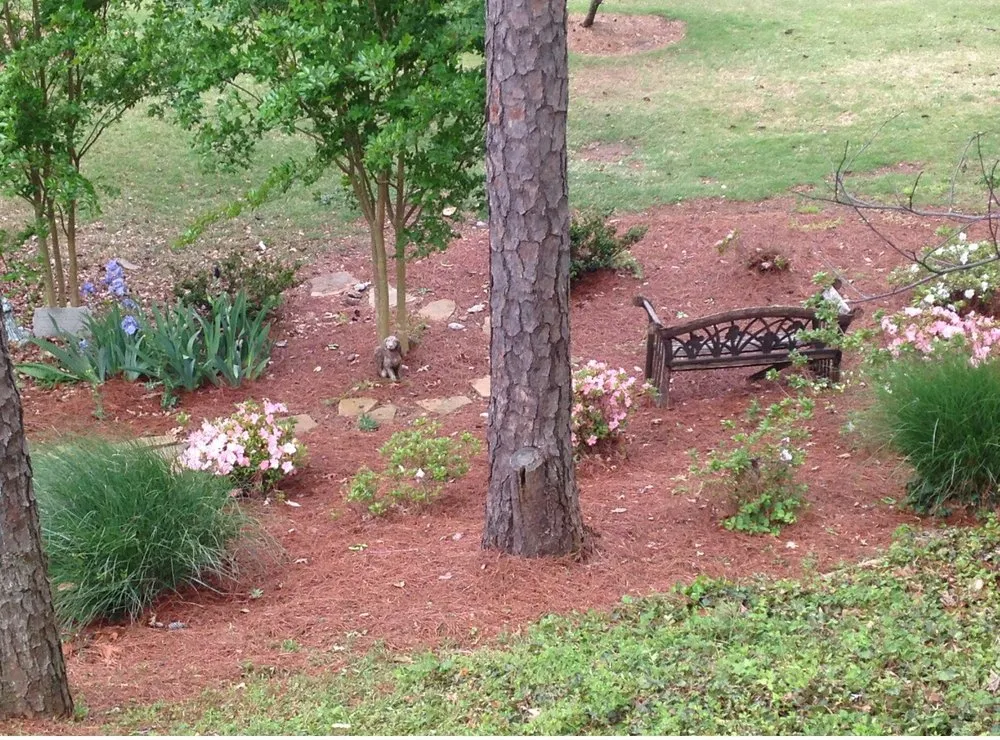 Affordable lawn care service for year-round maintenance across Alpharetta, GA - Champion Outdoor Services