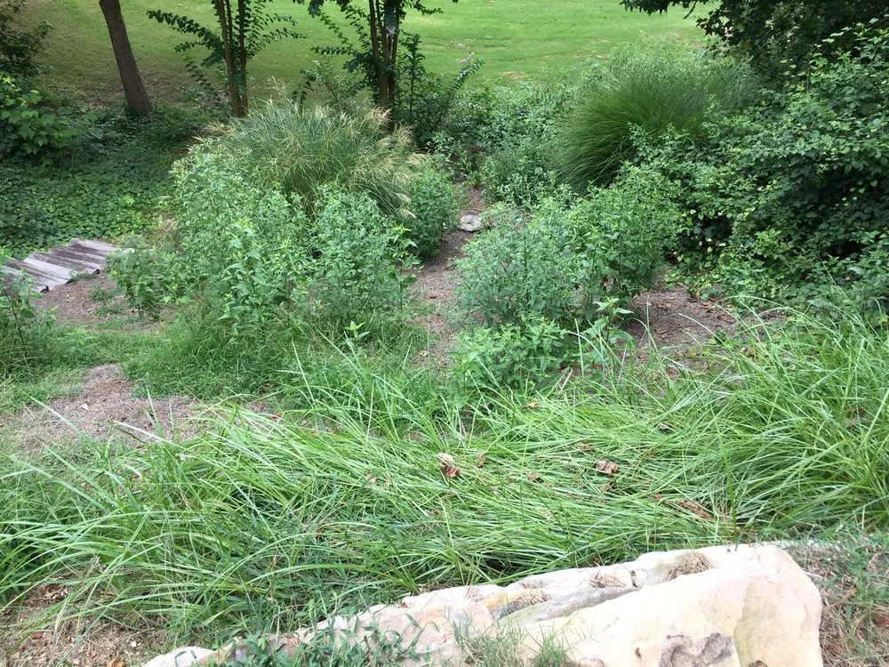 Expert landscape design near you across Alpharetta, GA - Champion Outdoor Services