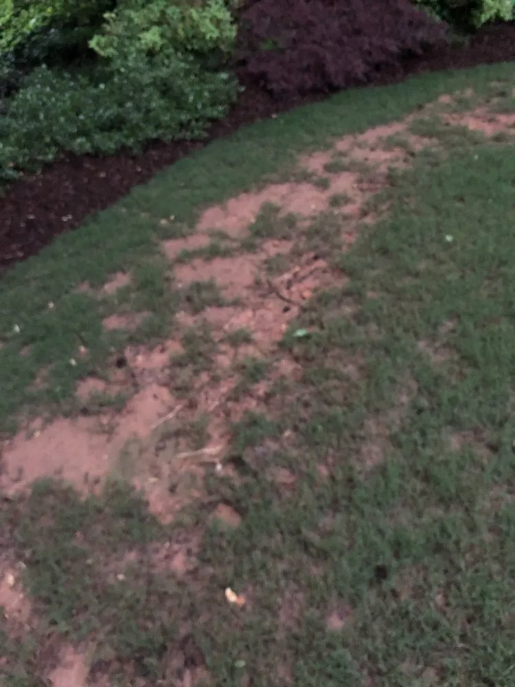 Expert residential landscaping near you across Alpharetta, GA - Champion Outdoor Services