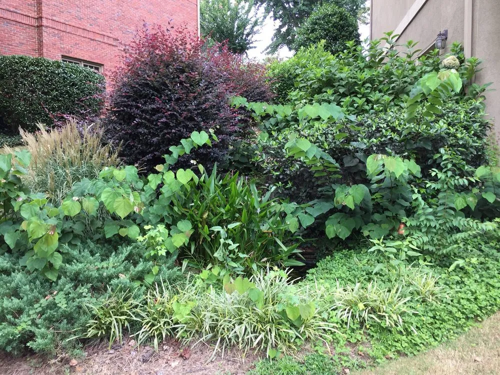 Reliable landscape installation near you across Alpharetta, GA - Champion Outdoor Services