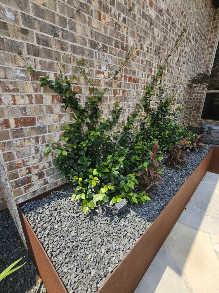 Reliable lawn mowing service in Austin, TX by Champion Outdoor Solutions