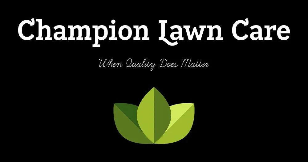 Professional landscape design in Orange, TX by Champion Property Services