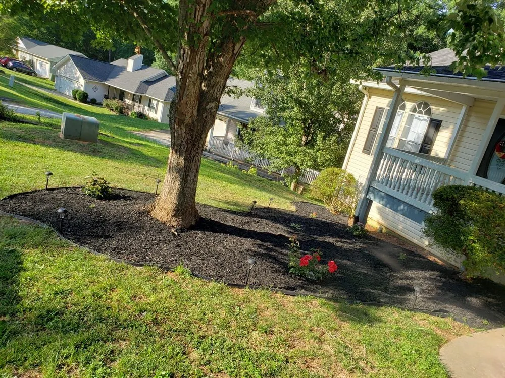 Top-rated residential landscaping in Greenville, SC by Champion Touch Lawn Care Services