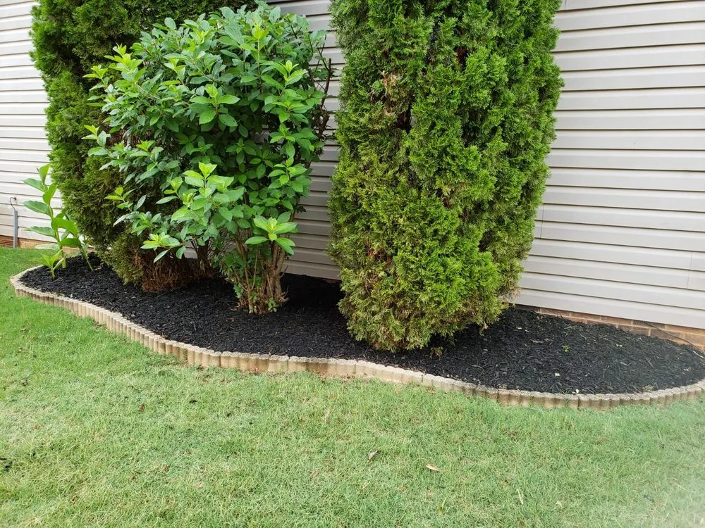 Top-rated landscape design in Greenville, SC - Champion Touch Lawn Care Services