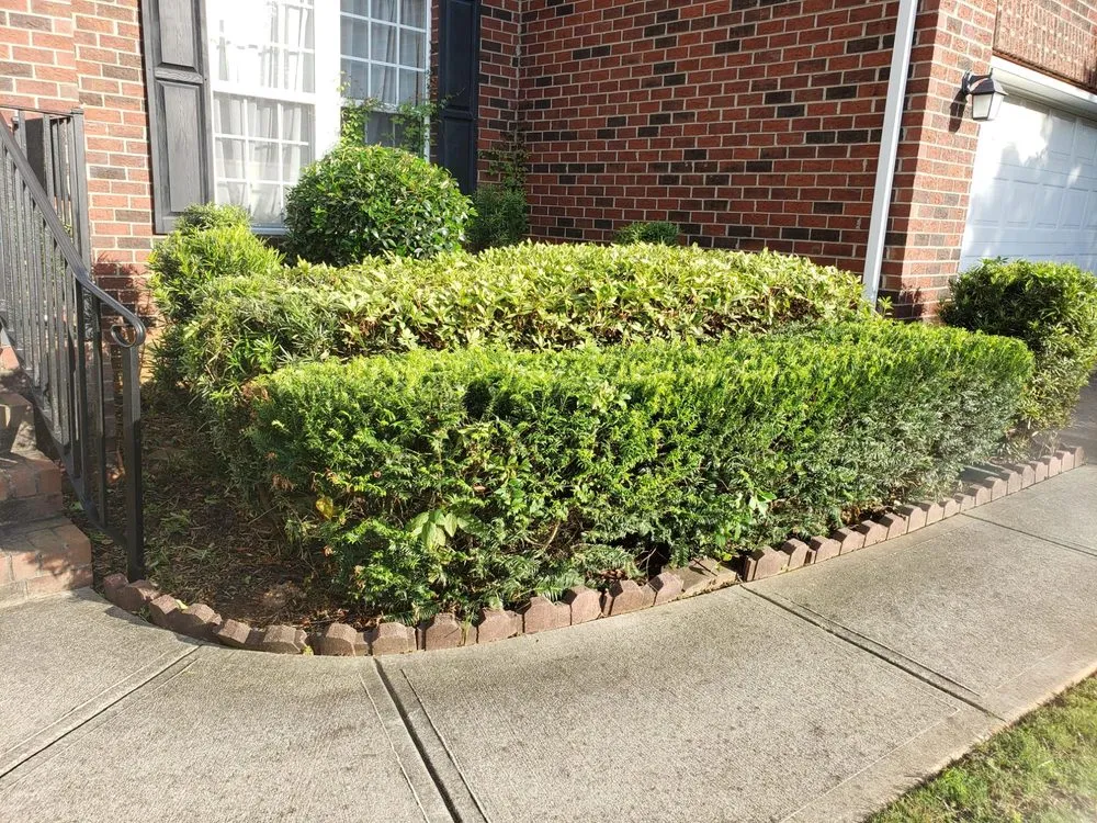 Affordable landscaping services experts serving Greenville, SC - Champion Touch Lawn Care Services