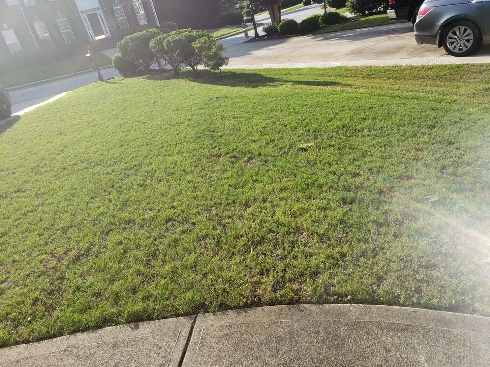 Local yard maintenance for year-round maintenance across Greenville, SC - Champion Touch Lawn Care Services