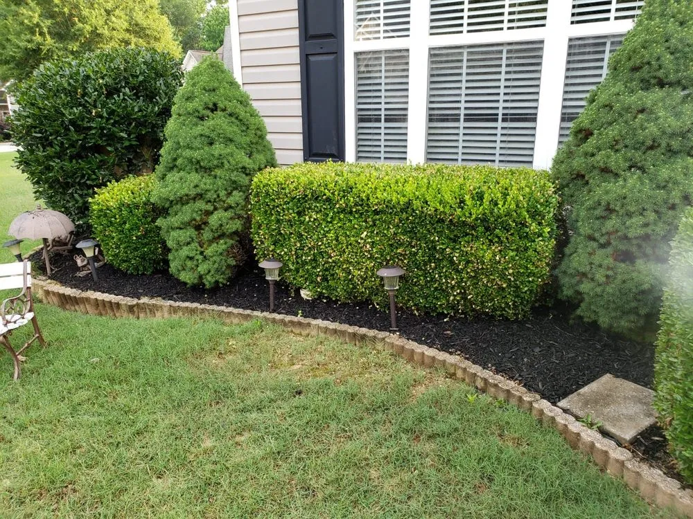 Trusted landscape design with custom design across Greenville, SC - Champion Touch Lawn Care Services