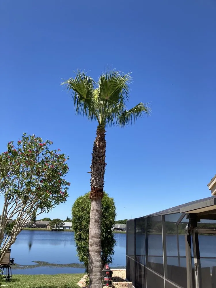 Trusted landscape design experts serving Tampa, FL - Champion Tree Care