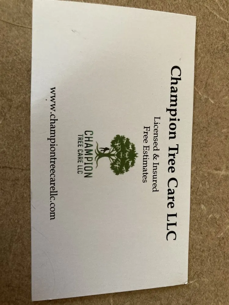 Trusted landscaping services in Tampa, FL by Champion Tree Care