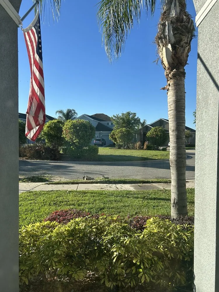 Custom landscape installation for outdoor upgrades in Tampa, FL by Champion Tree Care