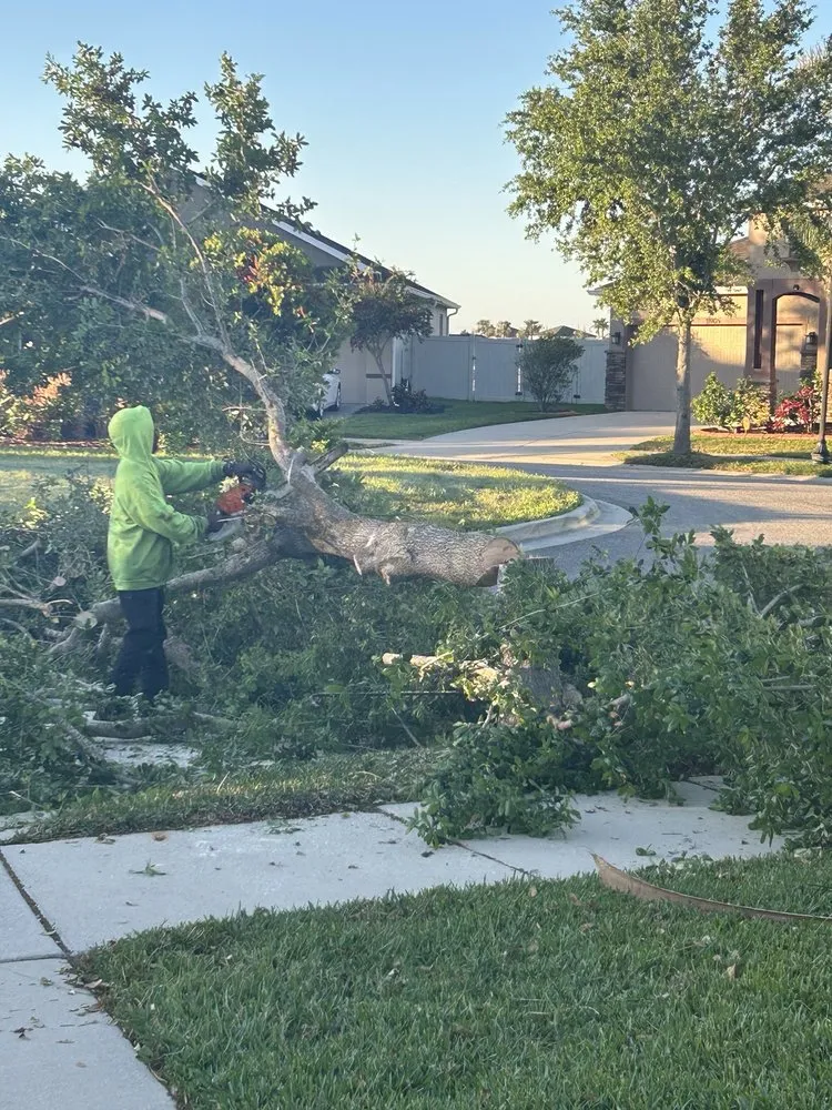 Reliable garden landscaping experts serving Tampa, FL - Champion Tree Care
