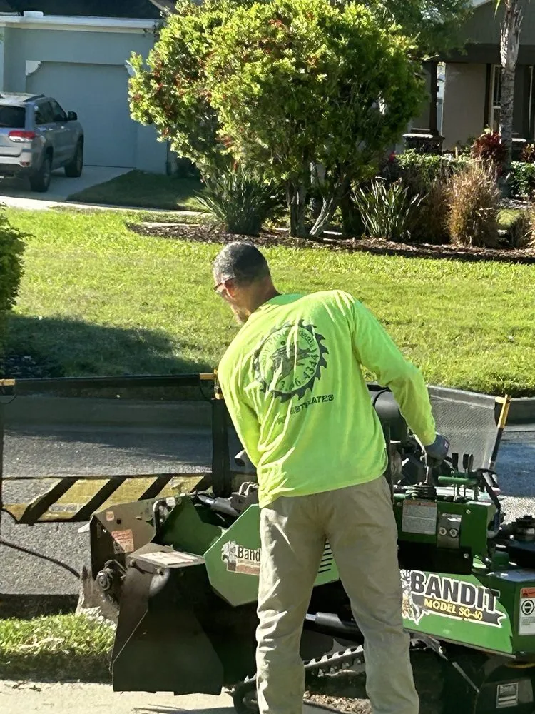 Top-rated residential landscaping experts serving Tampa, FL - Champion Tree Care