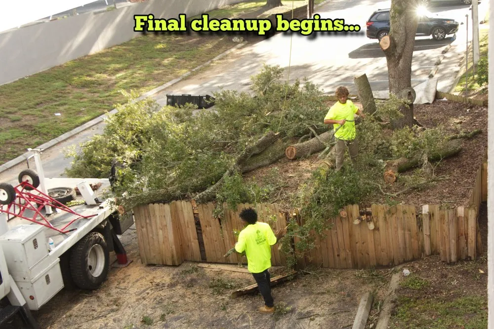 Local lawn care service with custom design in Tampa, FL by Champion Tree Care