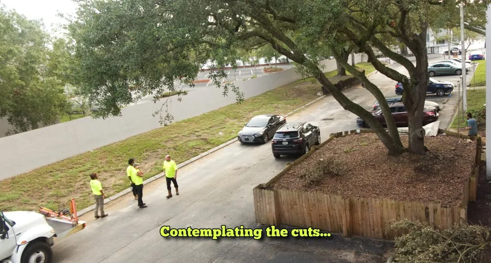 Professional residential landscaping for outdoor upgrades across Tampa, FL - Champion Tree Care