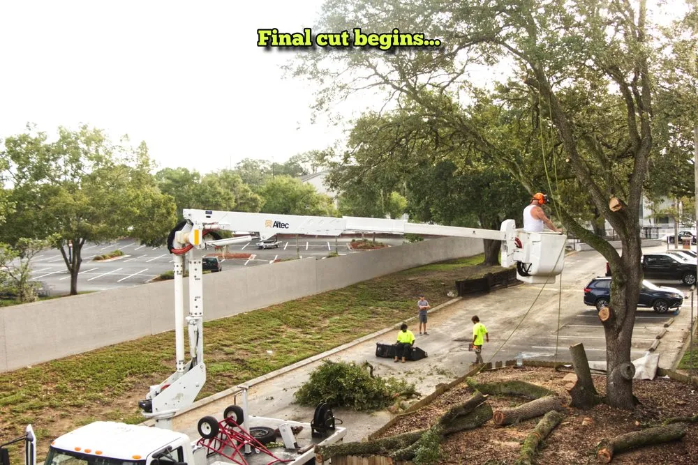 Custom landscaping services for residential properties in Tampa, FL by Champion Tree Care