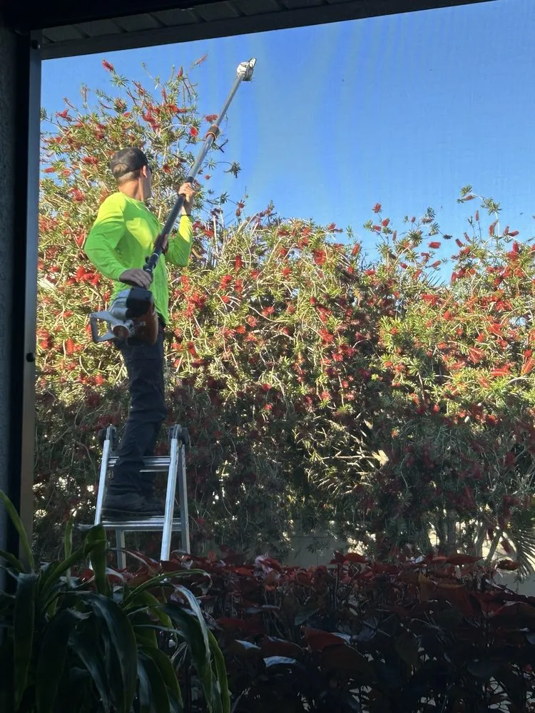Reliable yard maintenance for residential properties across Tampa, FL - Champion Tree Care