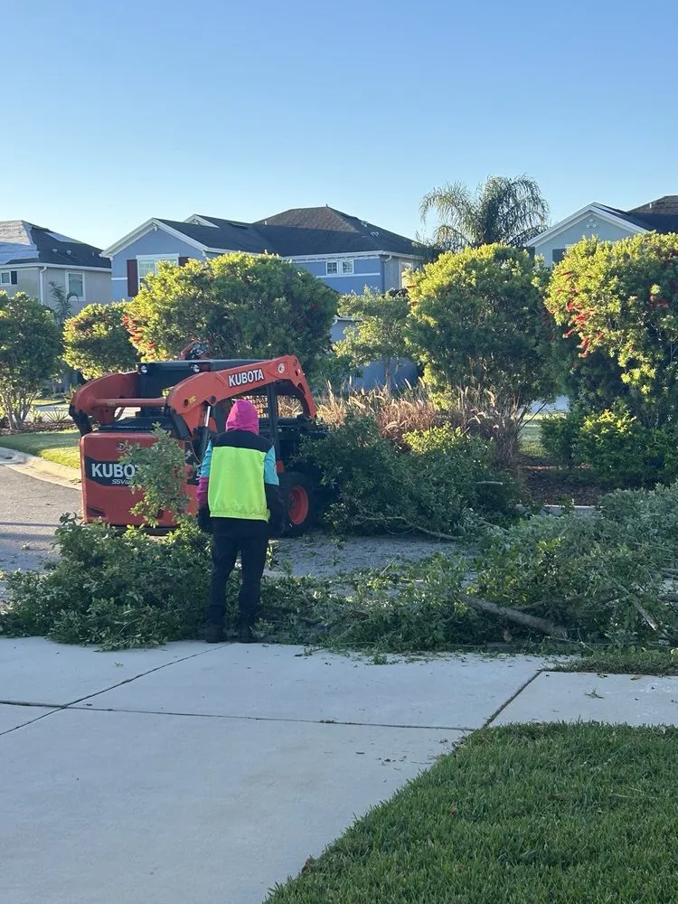 Affordable landscaping services in Tampa, FL by Champion Tree Care