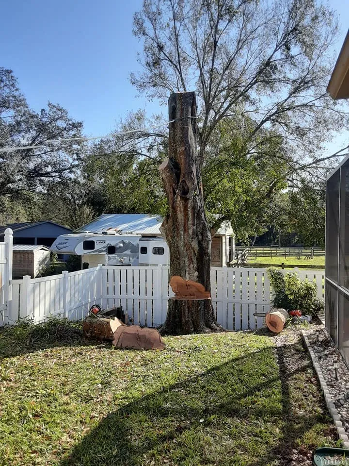 Local lawn care service for homes in Tampa, FL by Champion Tree Care