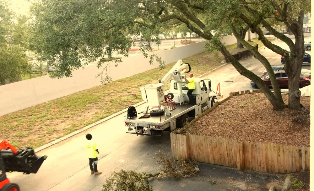 Reliable lawn care service experts serving Tampa, FL - Champion Tree Care